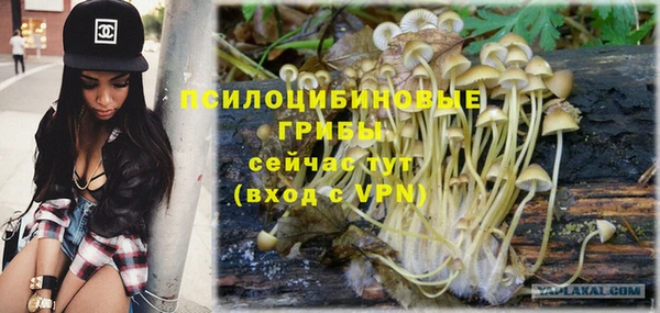 прущие крисы Бутурлиновка