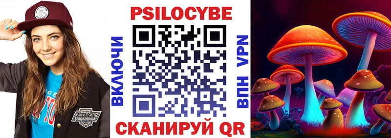 купить закладку Канск Псилоцибиновые грибы Psilocybe