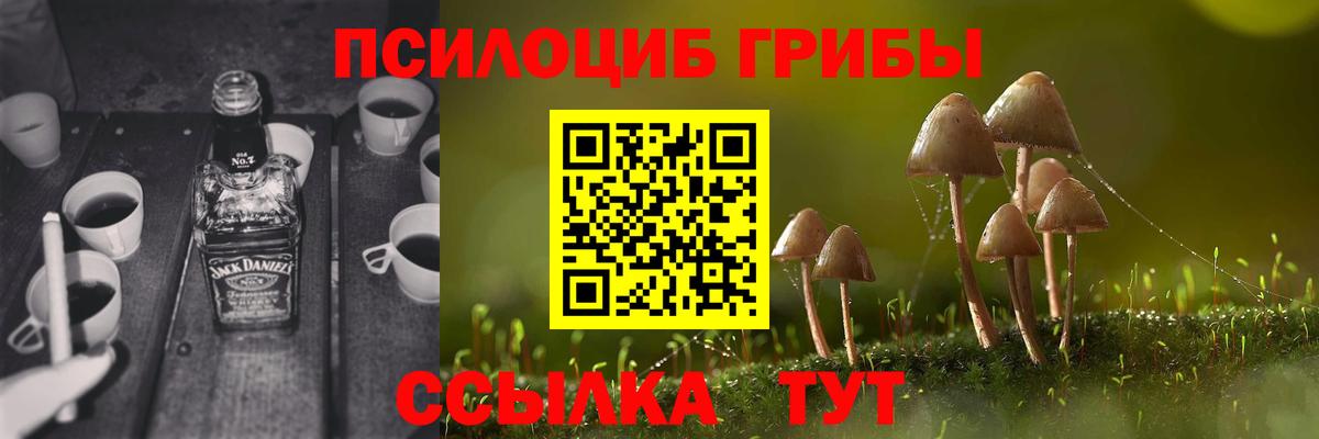 Канск  Псилоцибиновые грибы MAGIC MUSHROOMS  Вход с VPN 