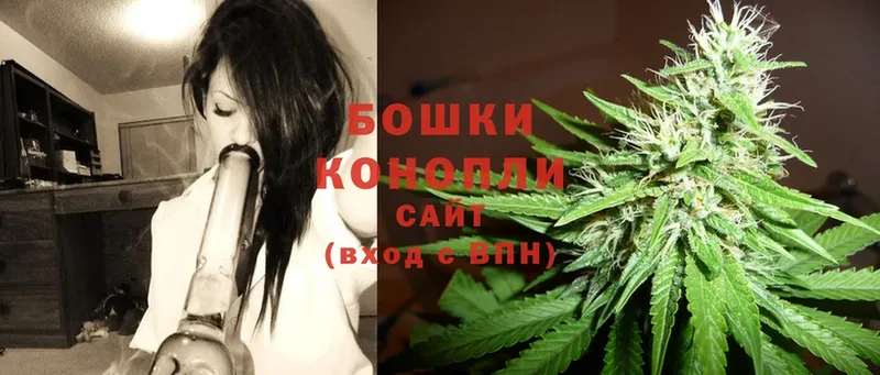 закладка  Канск  Шишки марихуана White Widow 